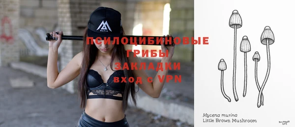 ALPHA PVP Алексеевка