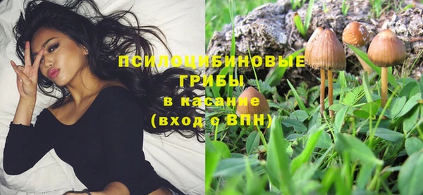МДПВ Абинск