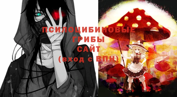 спайс Абаза