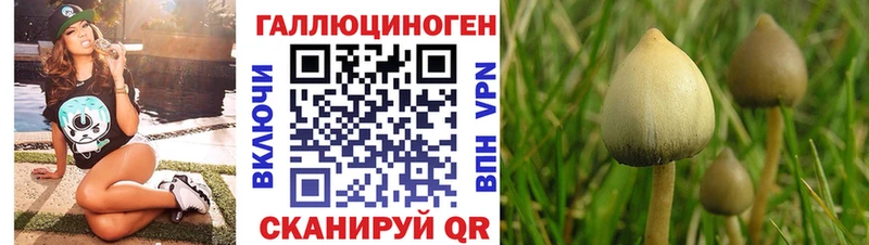 Псилоцибиновые грибы мицелий  Сольцы 