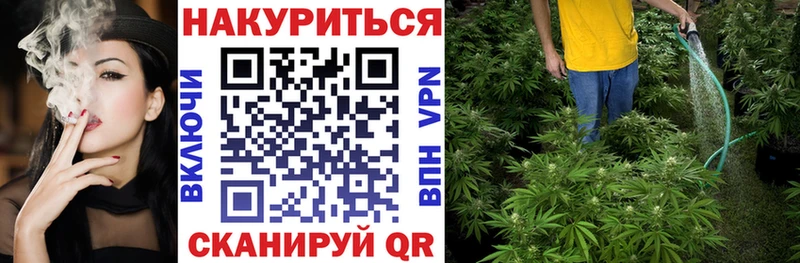 Конопля конопля  Сольцы 